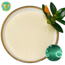 New Hot Sale Feed Grade Additives Pediococcus Acidiactici Probiotic Powder